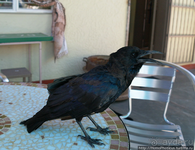 Намибийские пейзажи. Ч.2 Южные зарисовки