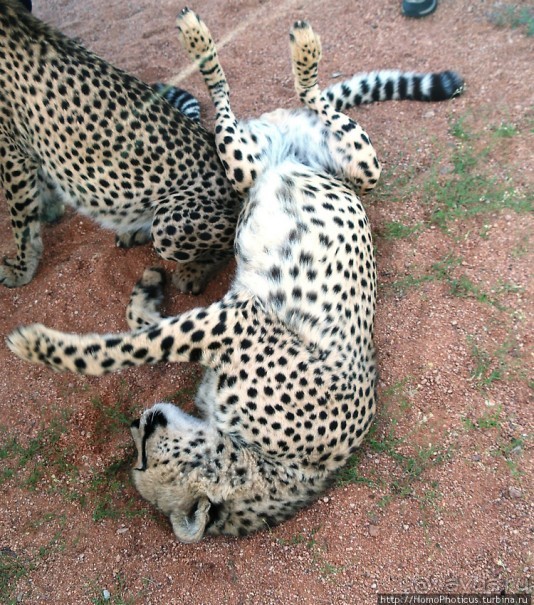 Намибийские пейзажи. Ч.2 Южные зарисовки