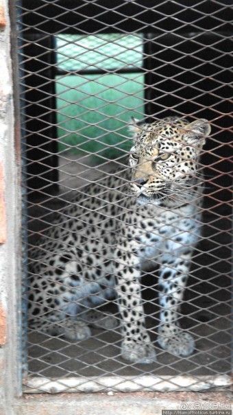 Намибийские пейзажи. Ч.2 Южные зарисовки