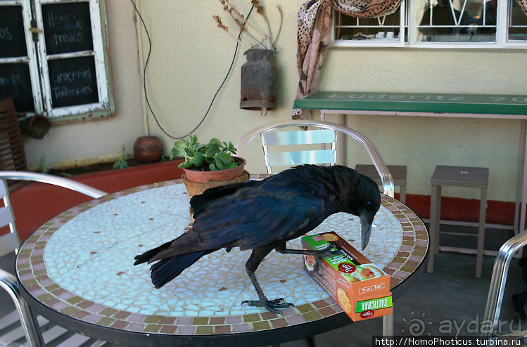 Намибийские пейзажи. Ч.2 Южные зарисовки