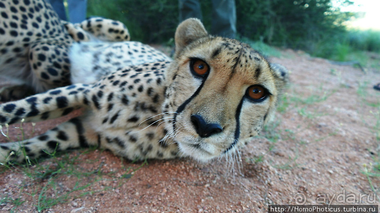 Намибийские пейзажи. Ч.2 Южные зарисовки
