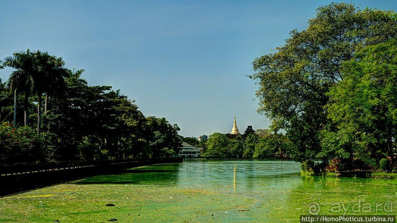 Королевское озеро