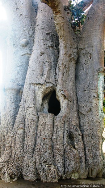 В «Нагорье»