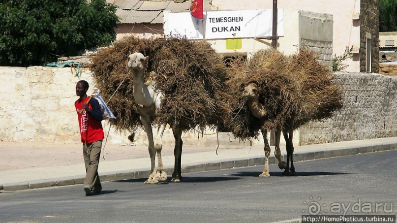 В «Нагорье»
