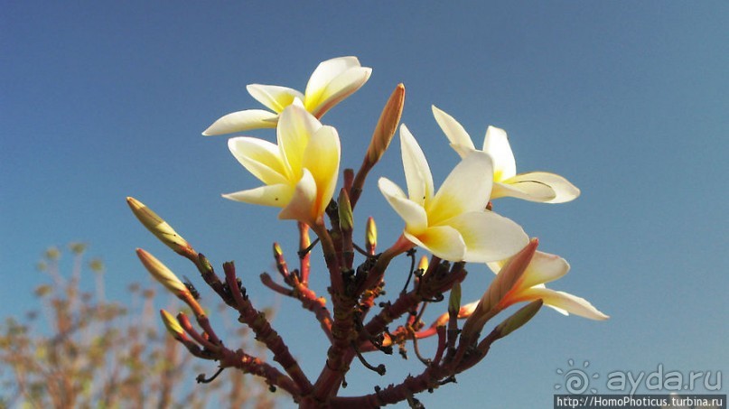 В «Нагорье»