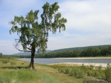 Между Саянами и Хамар-Дабаном
