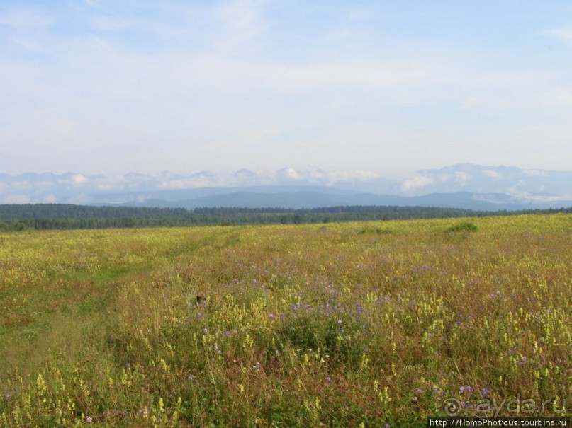 Между Саянами и Хамар-Дабаном