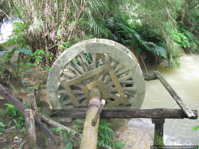 Альбом отзыва "Лаосский олень"