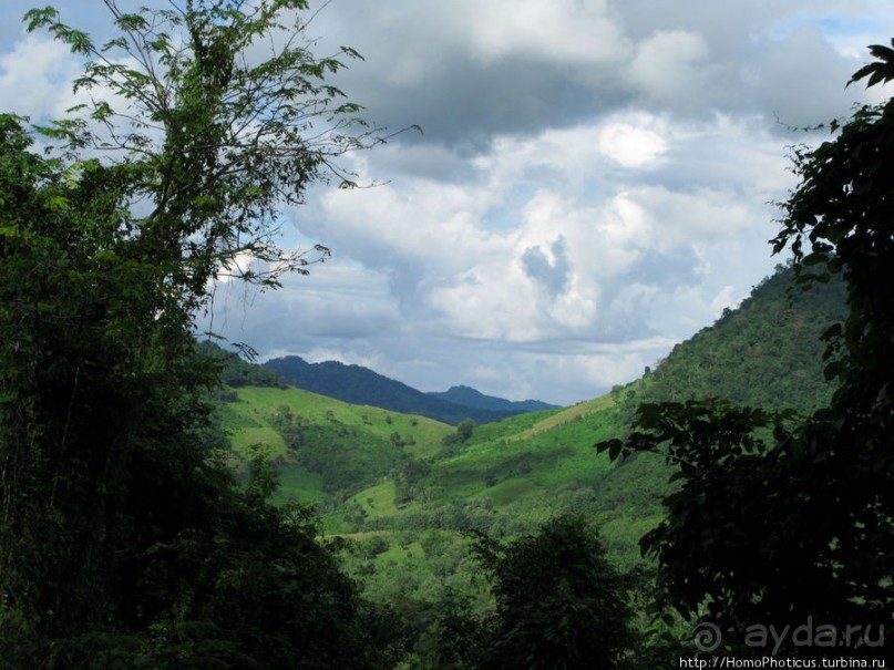 Альбом отзыва "Лаосский олень"