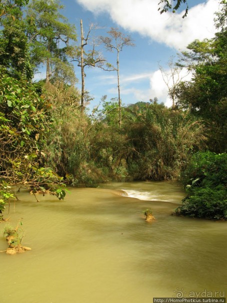 Альбом отзыва "Лаосский олень"