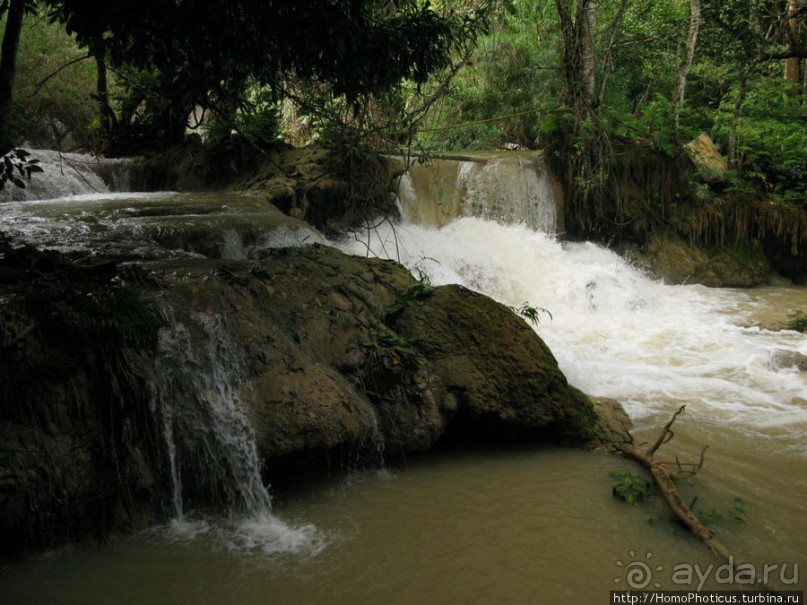 Альбом отзыва "Лаосский олень"