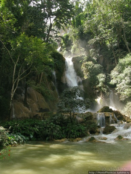 Альбом отзыва "Лаосский олень"