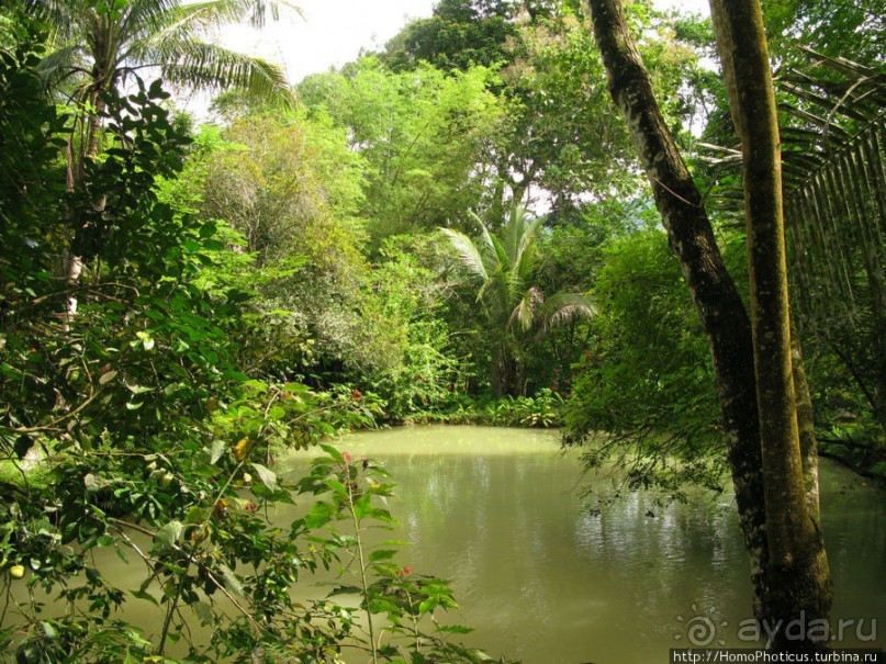 Альбом отзыва "Лаосский олень"