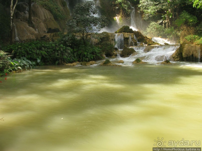 Альбом отзыва "Лаосский олень"