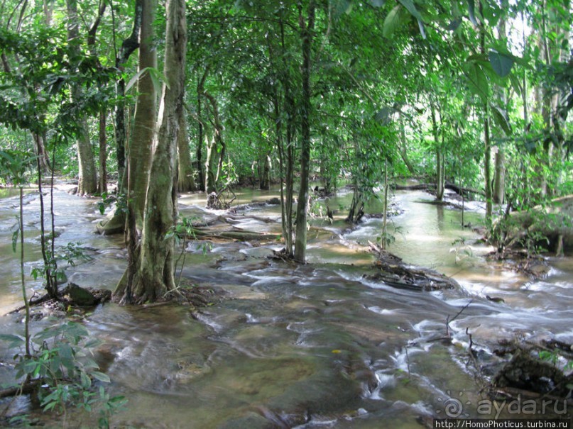 Альбом отзыва "Лаосский олень"