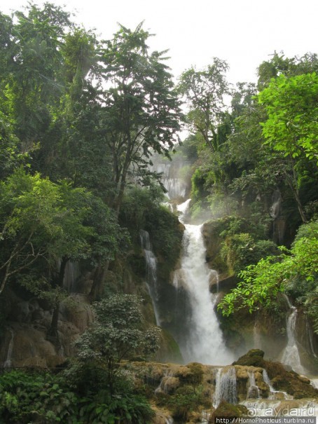 Альбом отзыва "Лаосский олень"