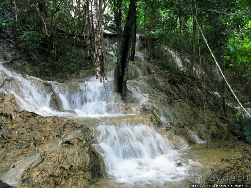 Альбом отзыва "Лаосский олень"