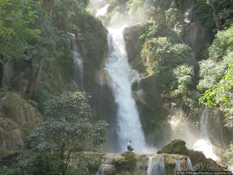 Альбом отзыва "Лаосский олень"