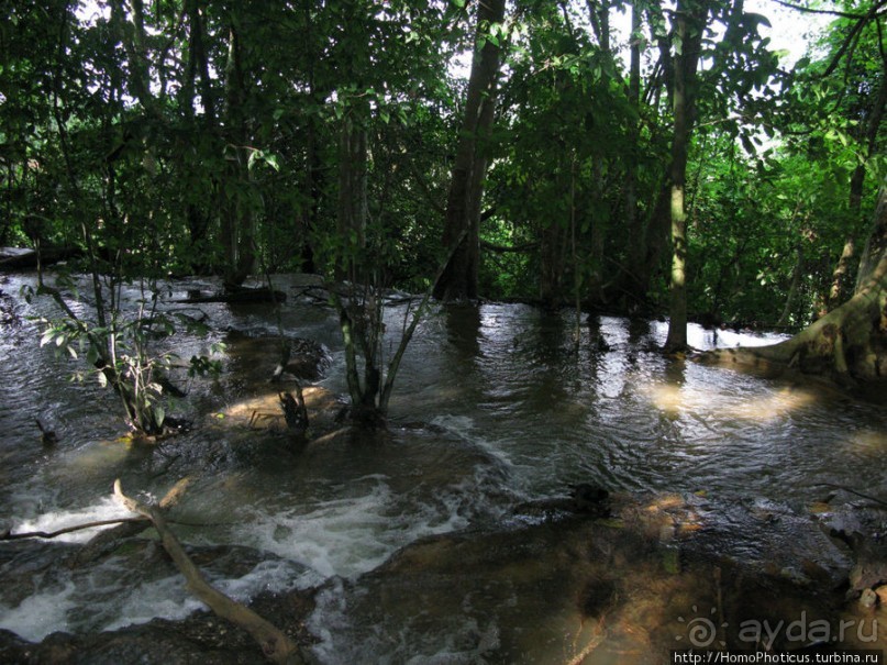 Альбом отзыва "Лаосский олень"