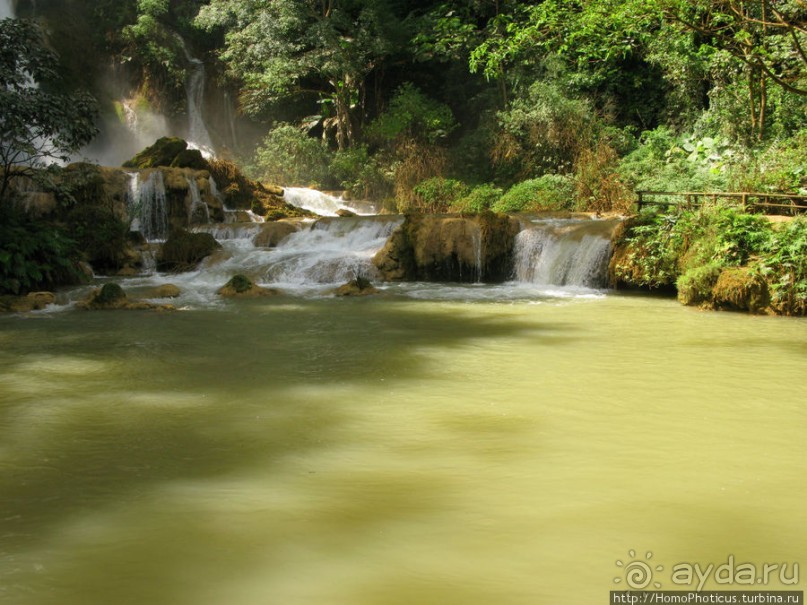 Альбом отзыва "Лаосский олень"