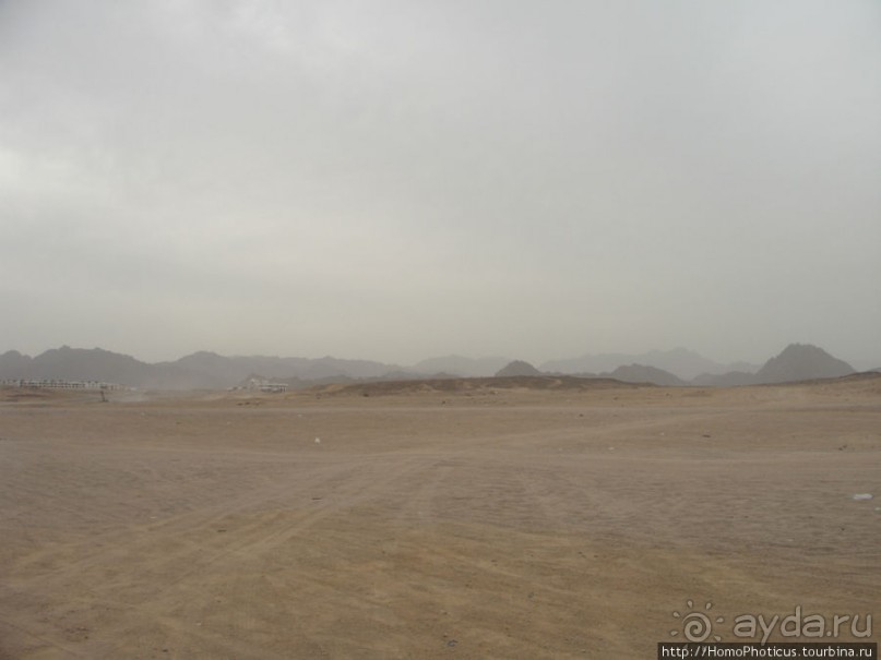 Самое-самое в Синае: По Синаю на квадрациклах