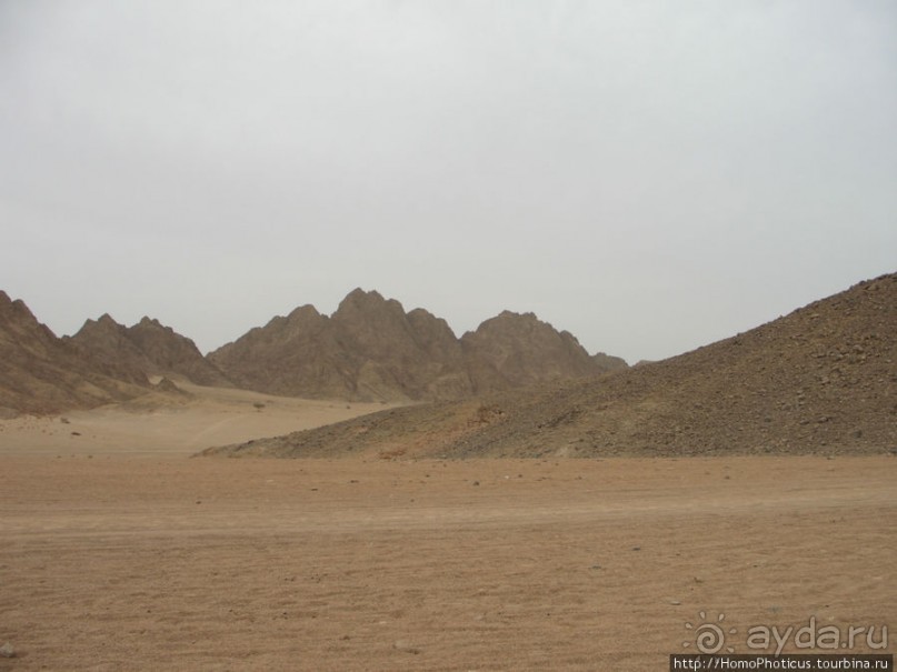 Самое-самое в Синае: По Синаю на квадрациклах