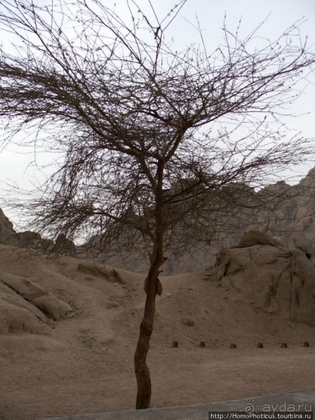 Самое-самое в Синае: По Синаю на квадрациклах