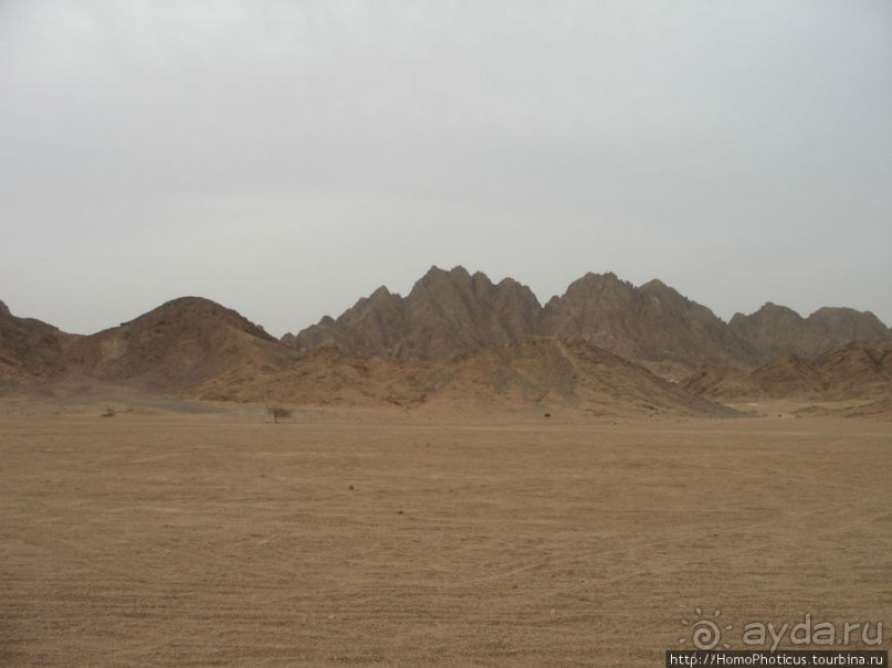 Самое-самое в Синае: По Синаю на квадрациклах