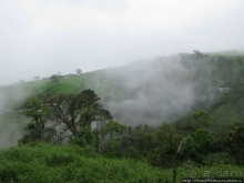 Алахуэла: василиски, игуаны и рояли