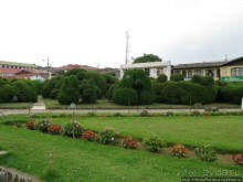 Алахуэла: василиски, игуаны и рояли