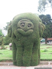 Алахуэла: василиски, игуаны и рояли