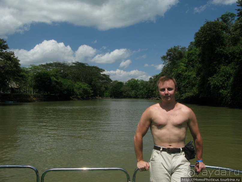 Алахуэла: василиски, игуаны и рояли