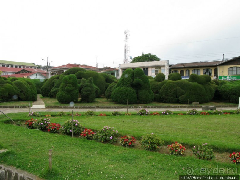 Алахуэла: василиски, игуаны и рояли