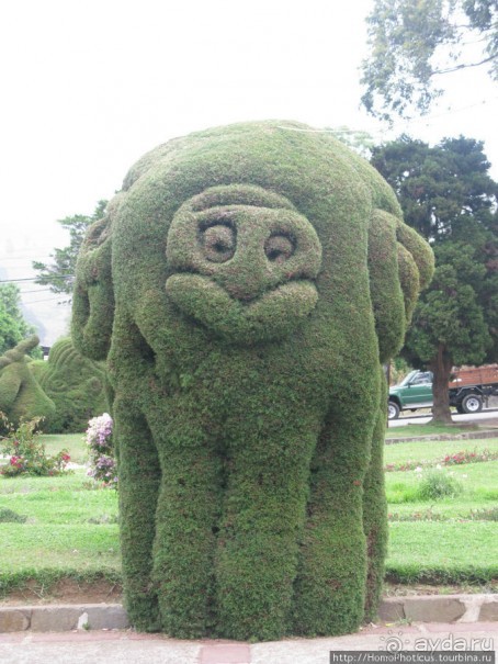 Алахуэла: василиски, игуаны и рояли