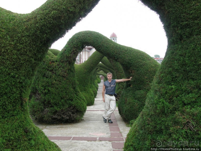 Алахуэла: василиски, игуаны и рояли