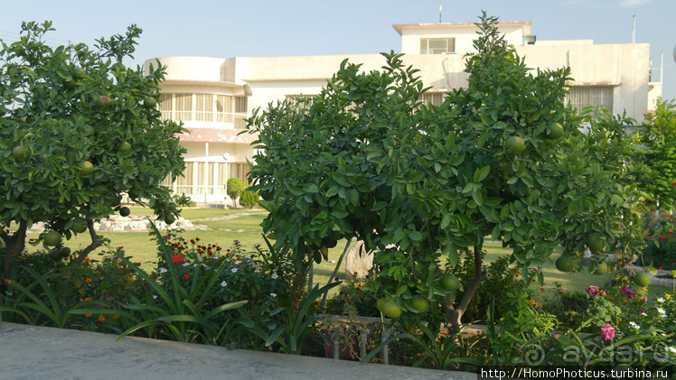 Месопотамские зарисовки. Ч.1 В Багдаде все «спокойно»