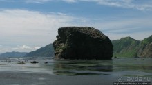 Тихая бухта. Ветрено.