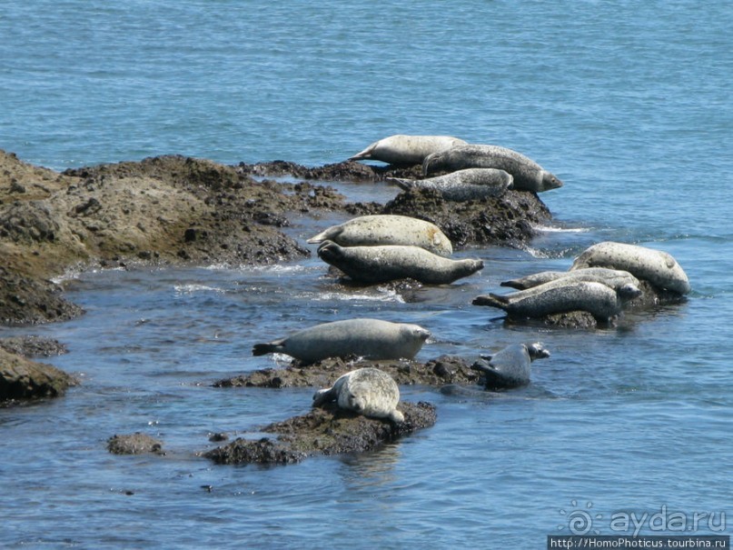 Тихая бухта. Ветрено.