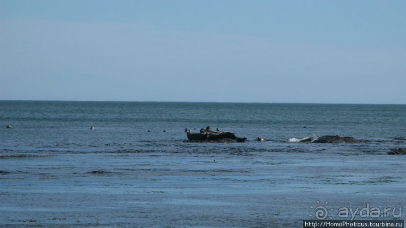 Тихая бухта. Ветрено.