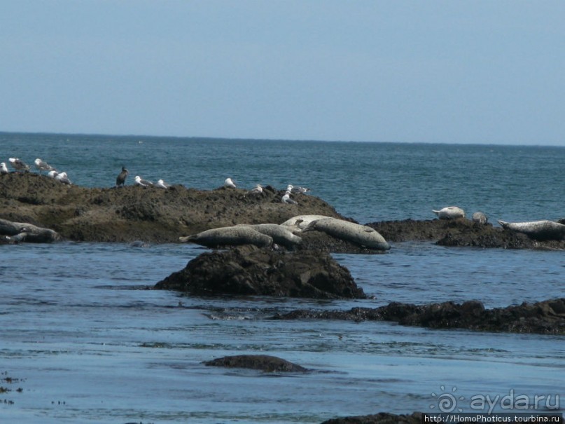 Тихая бухта. Ветрено.