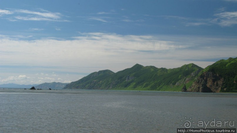 Тихая бухта. Ветрено.