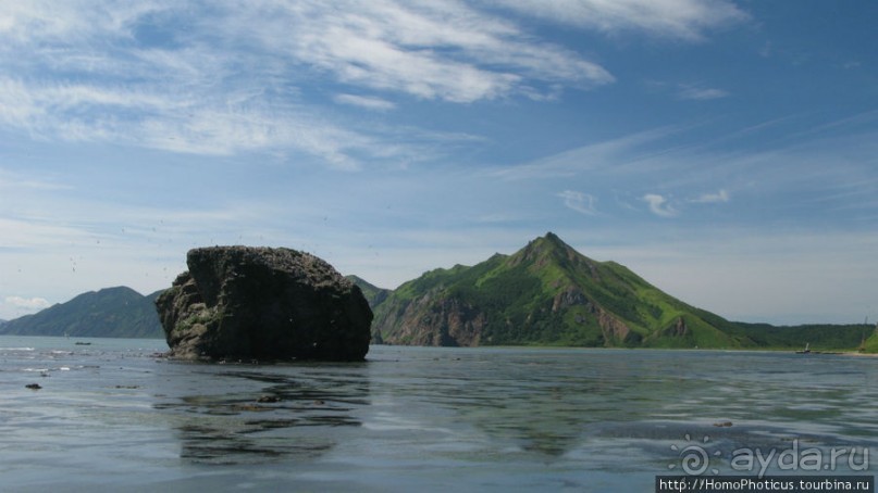 Тихая бухта. Ветрено.