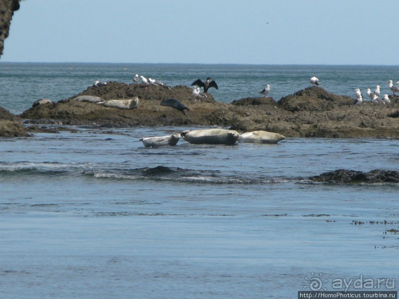 Тихая бухта. Ветрено.