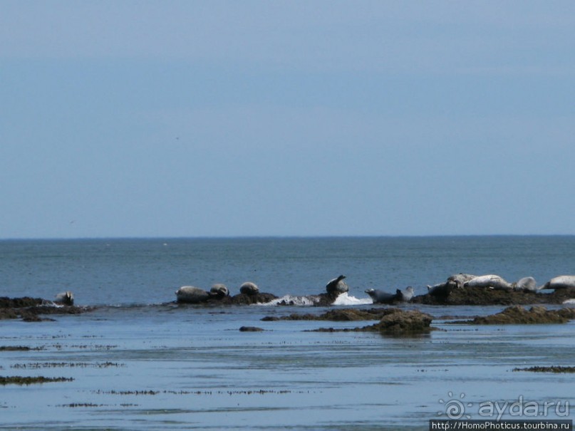 Тихая бухта. Ветрено.