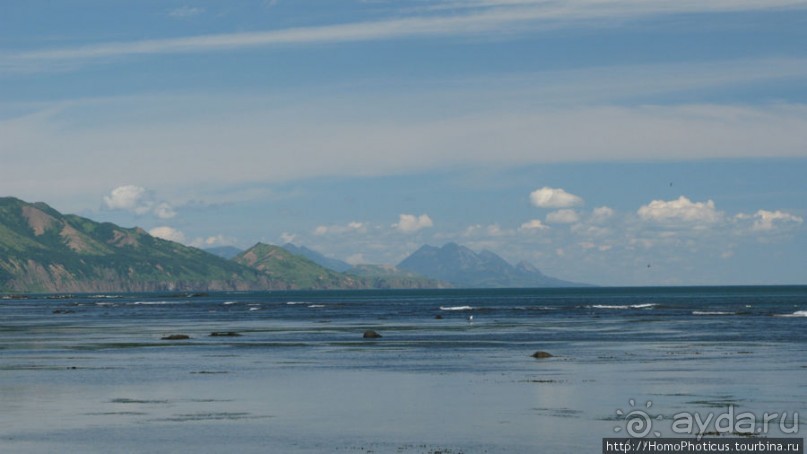 Тихая бухта. Ветрено.