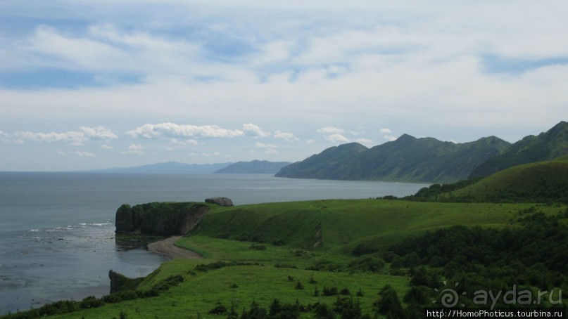 Тихая бухта. Ветрено.