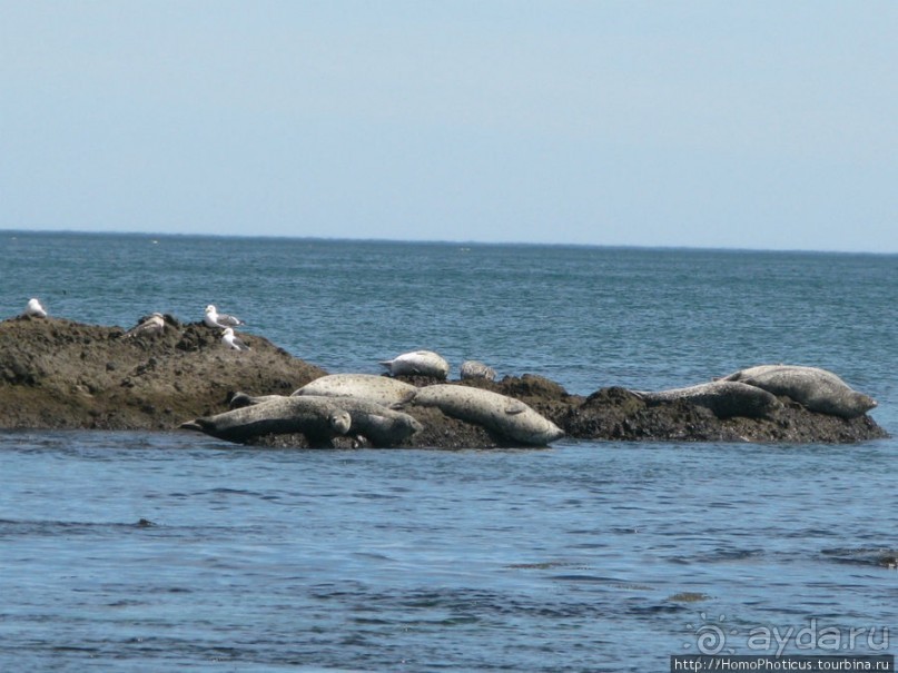 Тихая бухта. Ветрено.