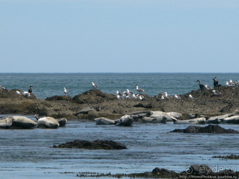 Тихая бухта. Ветрено.