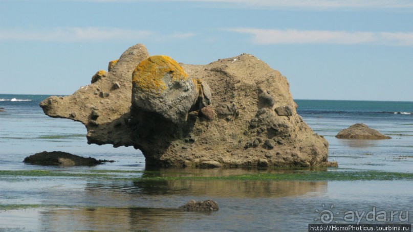 Тихая бухта. Ветрено.