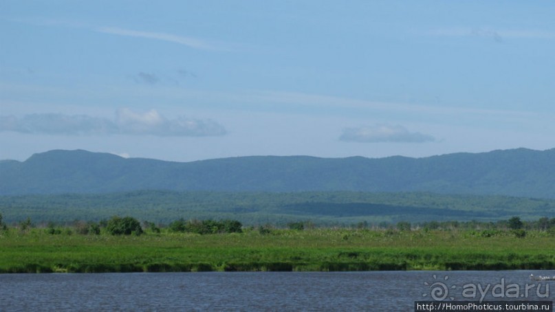 Тихая бухта. Ветрено.